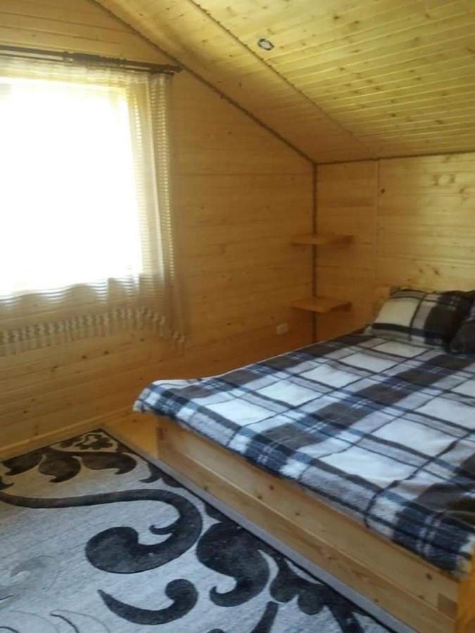 У Мар'Яни Villa Vorokhta Dış mekan fotoğraf